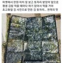 해피십자수 | 눈 떠 봐