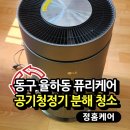 대구 동구 공기청정기 청소 율하동 LG 퓨리케어 1단 분해 후기, 냄새 문제 해결