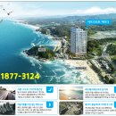 서프리조트 제이디 이미지