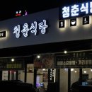 청춘식당 이미지