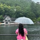 강림목장 | 후쿠오카 근교여행 감성 소도시 1일 완벽 정리 벳푸 유후다케 유후인 히타