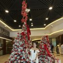 라비네일 이미지