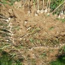 해오름농장 이미지