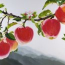 풍경요양병원 이미지