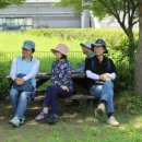 두물머리민박 이미지