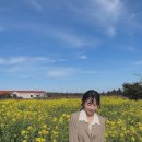 GS25 제주성읍점 이미지