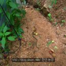 한민농장 이미지