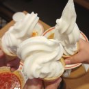 프라이데이119 | [올리브영 블랙프라이데이] 페리페라 오버 블러 틴트...글로우 밤 스틱/롬앤 더 쥬시 래스팅 틴트 후기