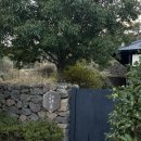 중앙여울펜션 | 제주여행 숙소 스테이여울 겨울 감성 야외자쿠지 독채펜션