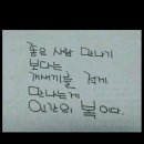 개안네 이미지