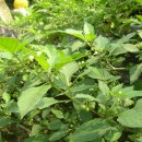 산양초등학교 이미지