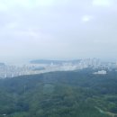 울산대교전망대화장실 이미지