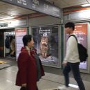신평이발관 - 해남군 땅끝해안로 779 | 신평이발관