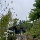 새와나무 | 가평 새와참새 캠핑장 후기) 포레스트5번 사이트, 예약방법, 바랑에르돔 우중 캠핑