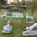 뼈큰감자탕 내당점 이미지