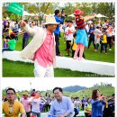 순천만힐링 이미지