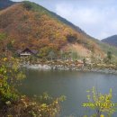 장산조경