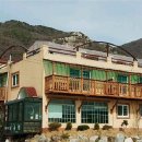 들국화 펜션 이미지