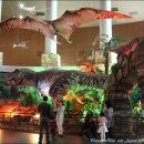 해남여행_ 세계에서 가장 오래된 새발자국, 1억년의 신비 해남 우항리 공룡화석지 이미지