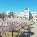유성그룹 네이버블로그