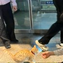 명륜진사갈비조례점 네이버블로그