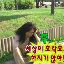 코하마 이미지