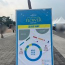 플라워 콘서트 | 루시 플라워 앵콜 콘서트 후기(written by FLOWER ENCORE in SEOUL)
