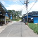 군산 한우농장2 이미지