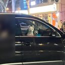 동교로52길 4 네이버블로그