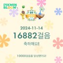 11월 셋째주도 이렇게