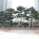 경기 평택시 용이동 492-1 용이반도유보라 304동 17층 이미지