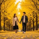 CU 경주황성공원점 | 경주 황성공원 은행나무단지, 가을 인생샷 명소 솔직 후기