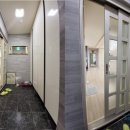 에코파인 이미지