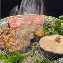 후쿠오카 유후인 야끼니쿠 맛집 시치린스미비야키 예약 방법 후기