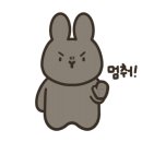 토탈스토어