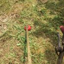 청광농장 이미지