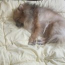 정숙목장 이미지