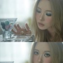 선미 카카오 검색결과
