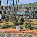 용주전자 | 충주 글램핑장! 프라이빗 캠프닉에서 즐긴 충주호 피크닉 감성 힐링 후기