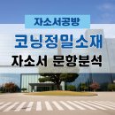 코닝정밀소재 후문 | [코닝정밀소재 채용] 2026년 코닝정밀소재 자소서 문항분석(~25.12.2)