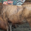 연계목장 이미지