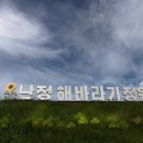 교동면 난정저수지 이미지