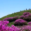 운봉읍 산덕마을 | 지리산 바래봉 산행 후기 (산덕-부은재-팔랑치 철쭉 군락지)