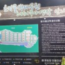 느티나무야영장 이미지