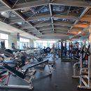 시드니 휘트니스 이미지