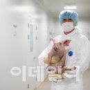 (주)옵티팜 이미지