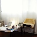 트렌드세터 이미지