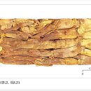 홍삼세상 - 창원시 성산구 용지로 225 | 홍삼세상