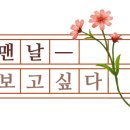 동네컴퍼니