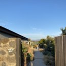 스테이 안도감 제주 | 🏡 제주 "안도감제주" 독채 숙소 후기｜아무것도 안 해도 좋았던 숙소★